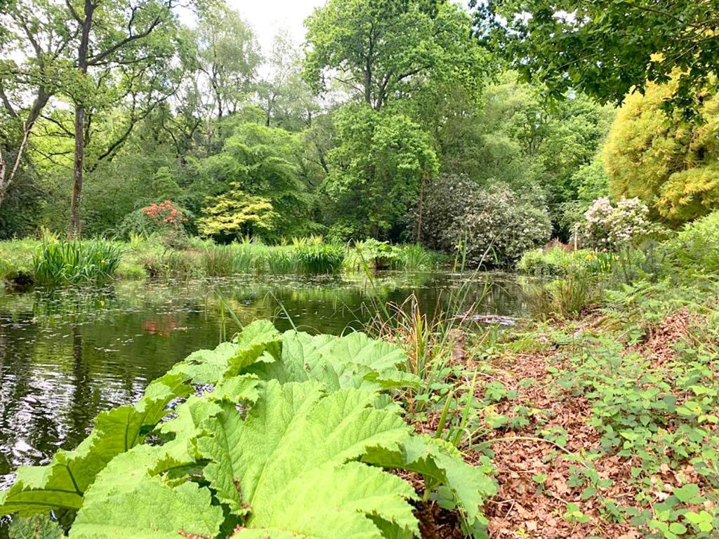 The Loft at Ash Beacon - Gorgeous 2 bed, hideaway in lovely private grounds, Axminster