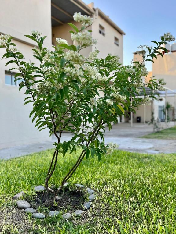 HOTEL LOS TILOS RECONQUISTA - 5