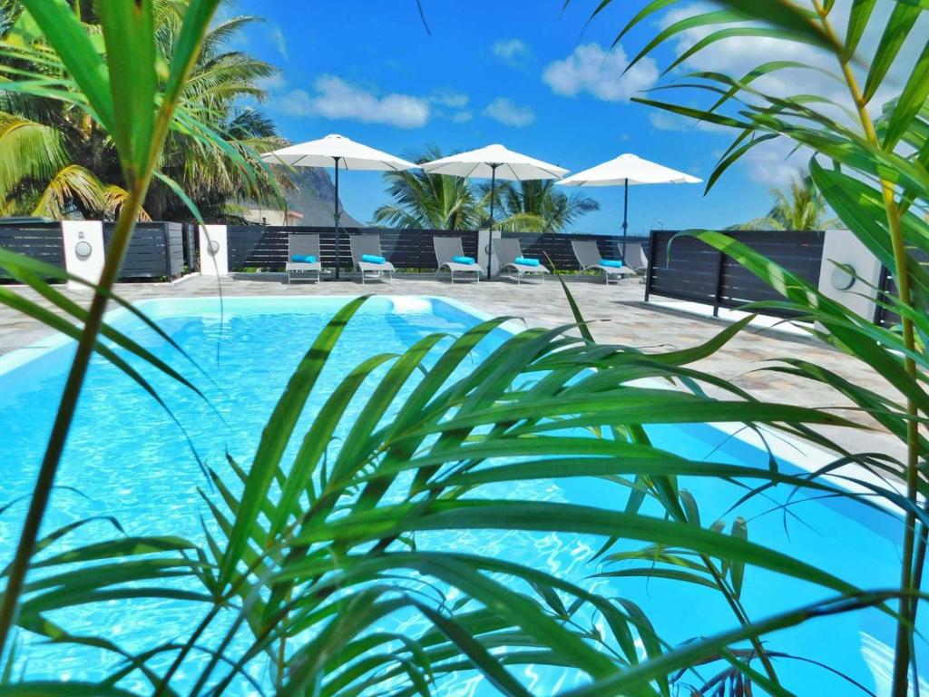 Coral Studio, La Gaulette