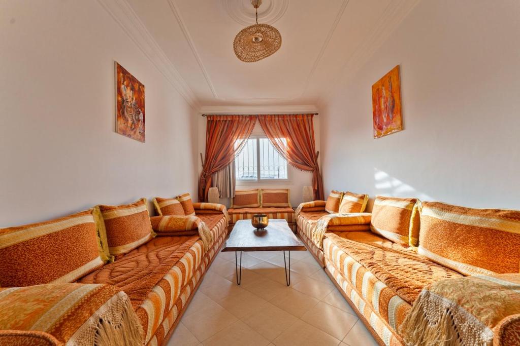 Little berber in Agadir, Agádir