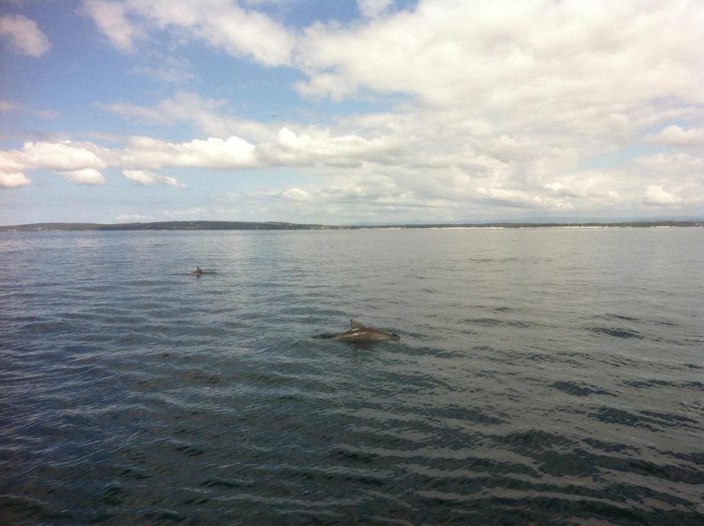 Surrounding environment