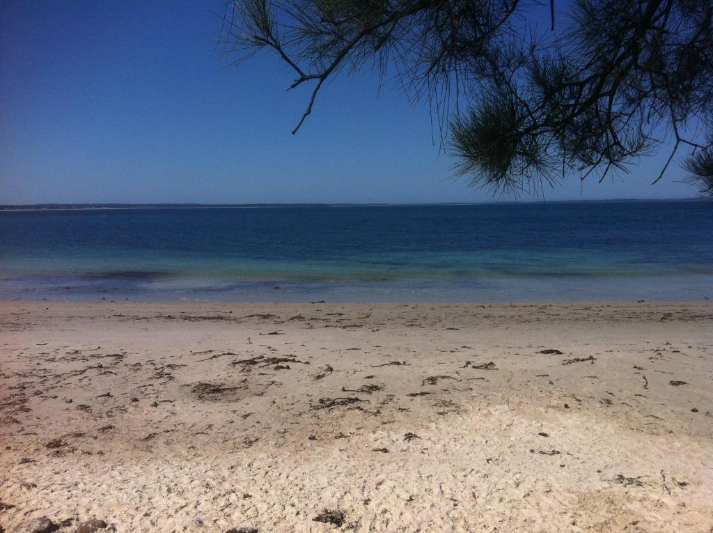 Surrounding environment