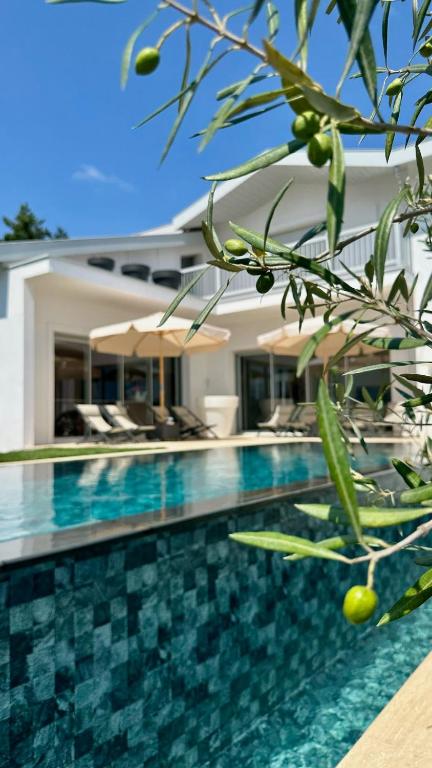 EHDΞN Biarritz Arbonne, Arbonne