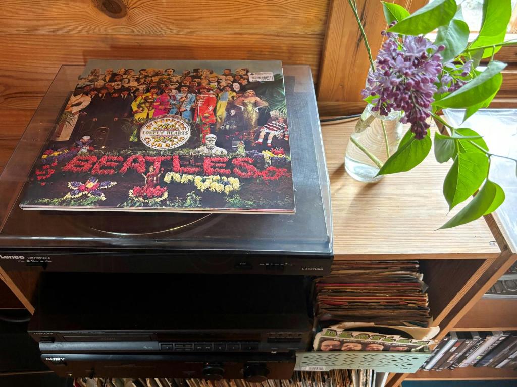 Large Log House With Sea Views In Klint Hills, Nykøbing Sjælland