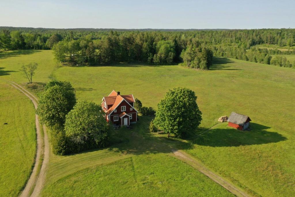 Views And Calmness In The Heart Of The Småland Forest, Strömsnäsbruk