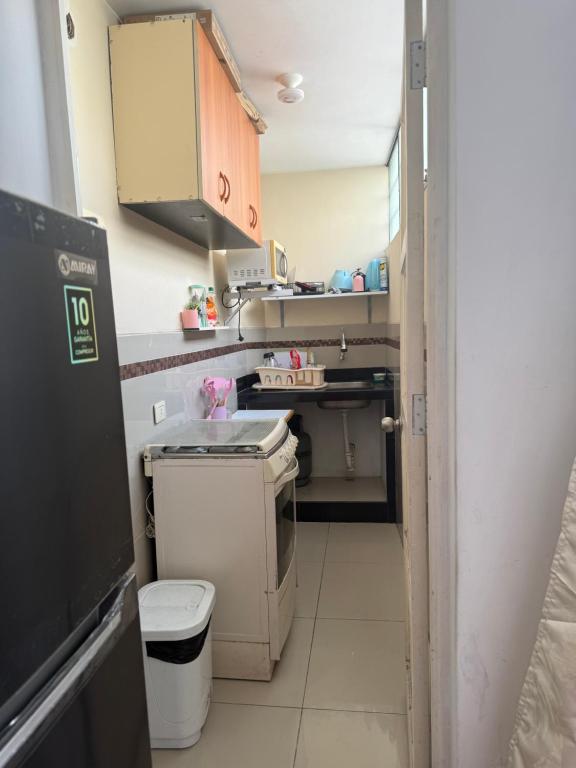 Mini en el centro histórico de Lima - 5