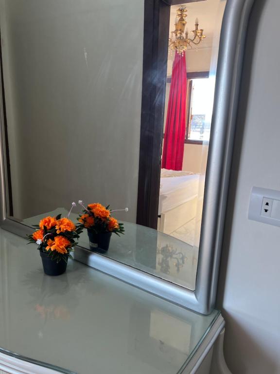 Cea view apartment, Alexandrie