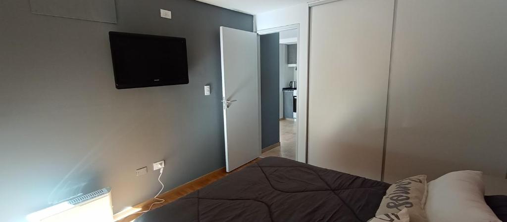 Bright and spacious apartment in Mendoza. - 2