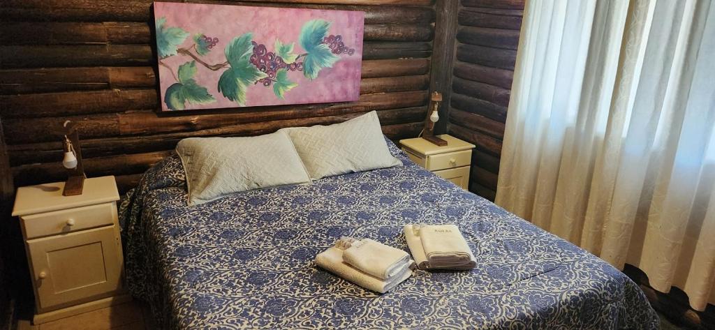 Cabin in Protrerillos near Mendoza River - 3