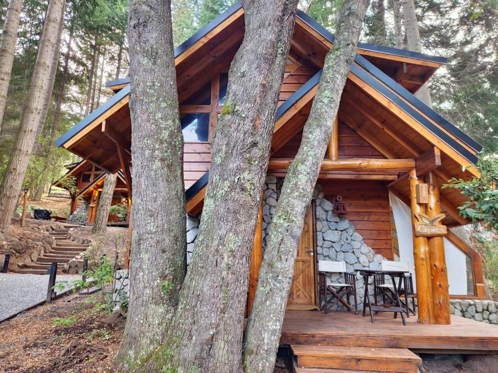El Remanso - Cipres Cabin, Bahía Manzano - 1
