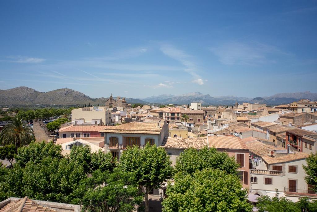 Alcudia Boutique Apartments — Attractions in the area in Alcudia, Balearic Islands