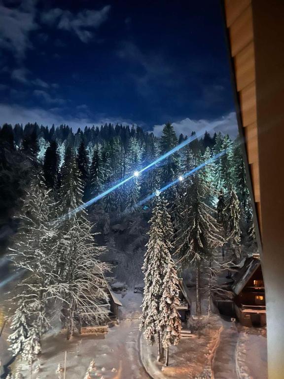 Apartman Jahorina Mont 501 - 2
