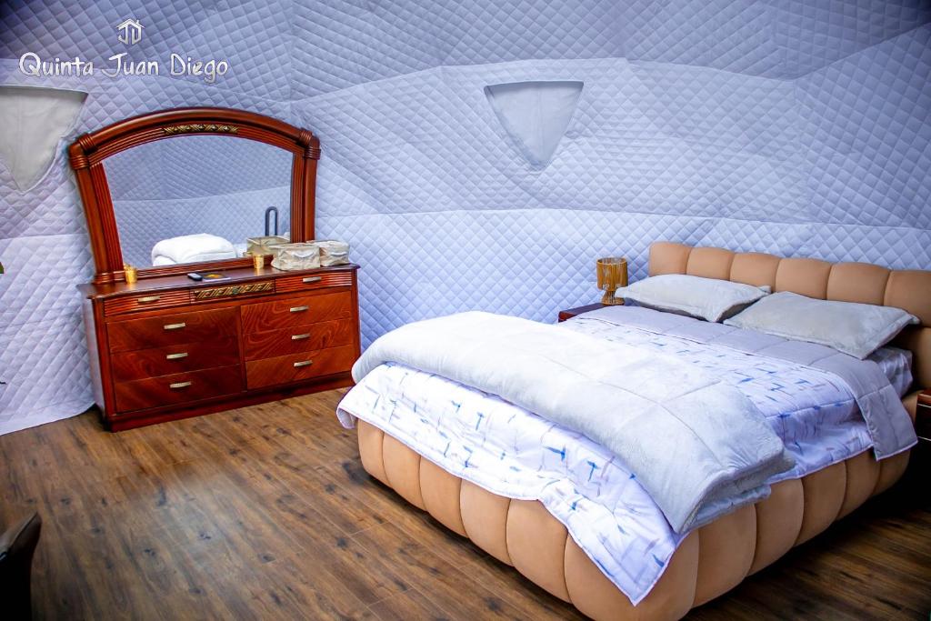 Quinta Juan Diego Patate - 2