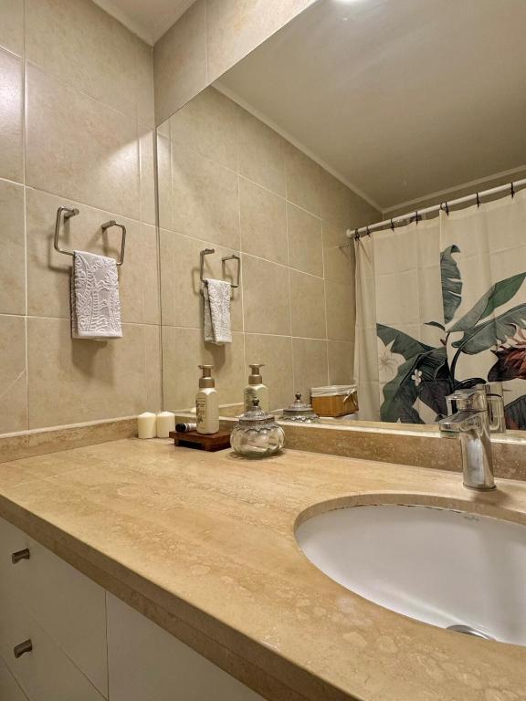 Cozy and bright apartment in Providencia - 3