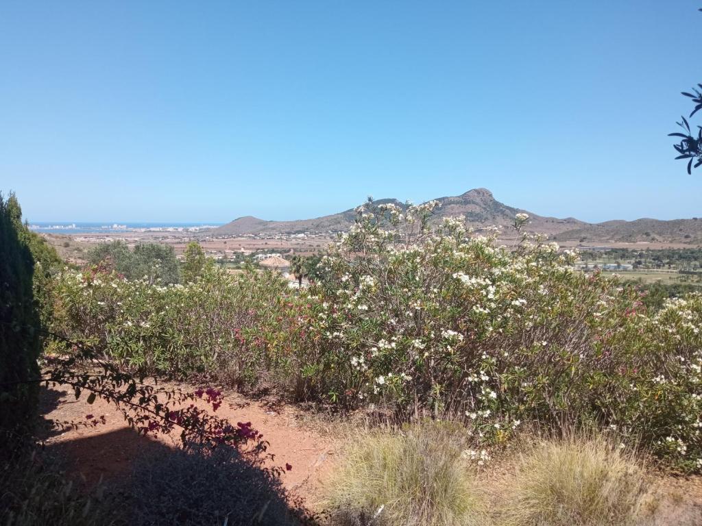 ELIO La Manga Club 4, golf & spa - 5