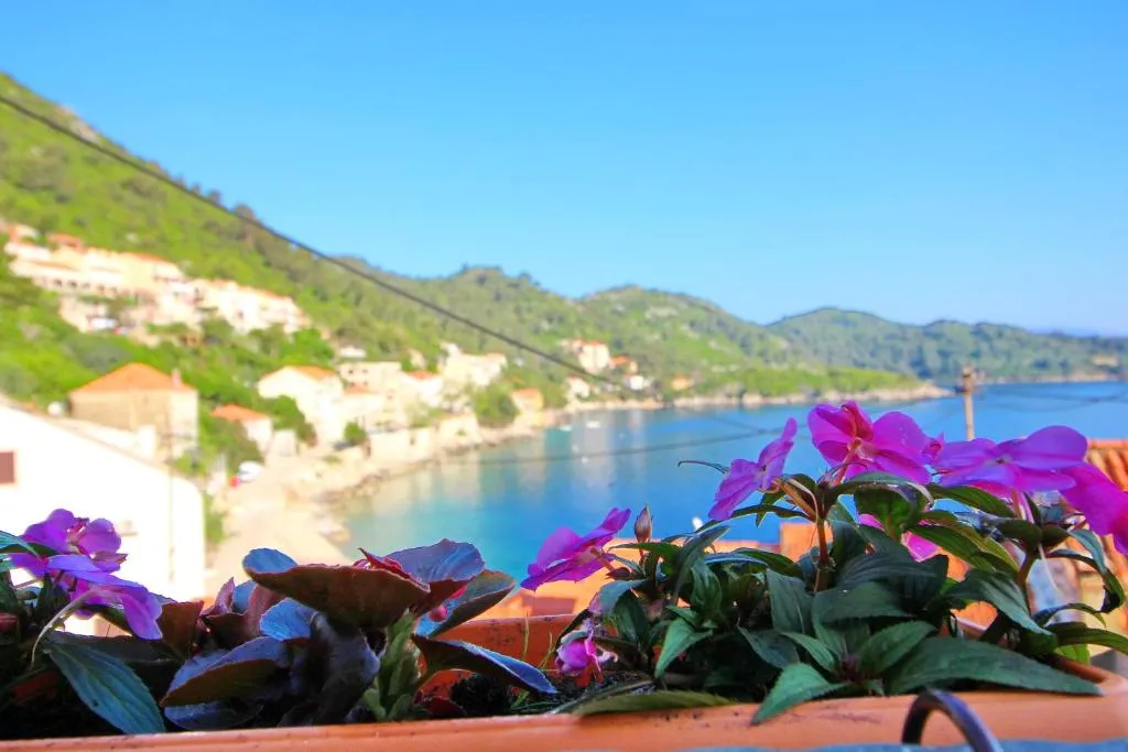 Apartment Mambo, hotel in Sobra