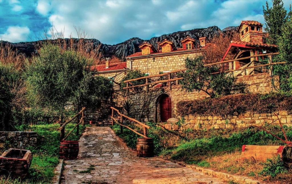 Old Wine House - Montenegro - 2