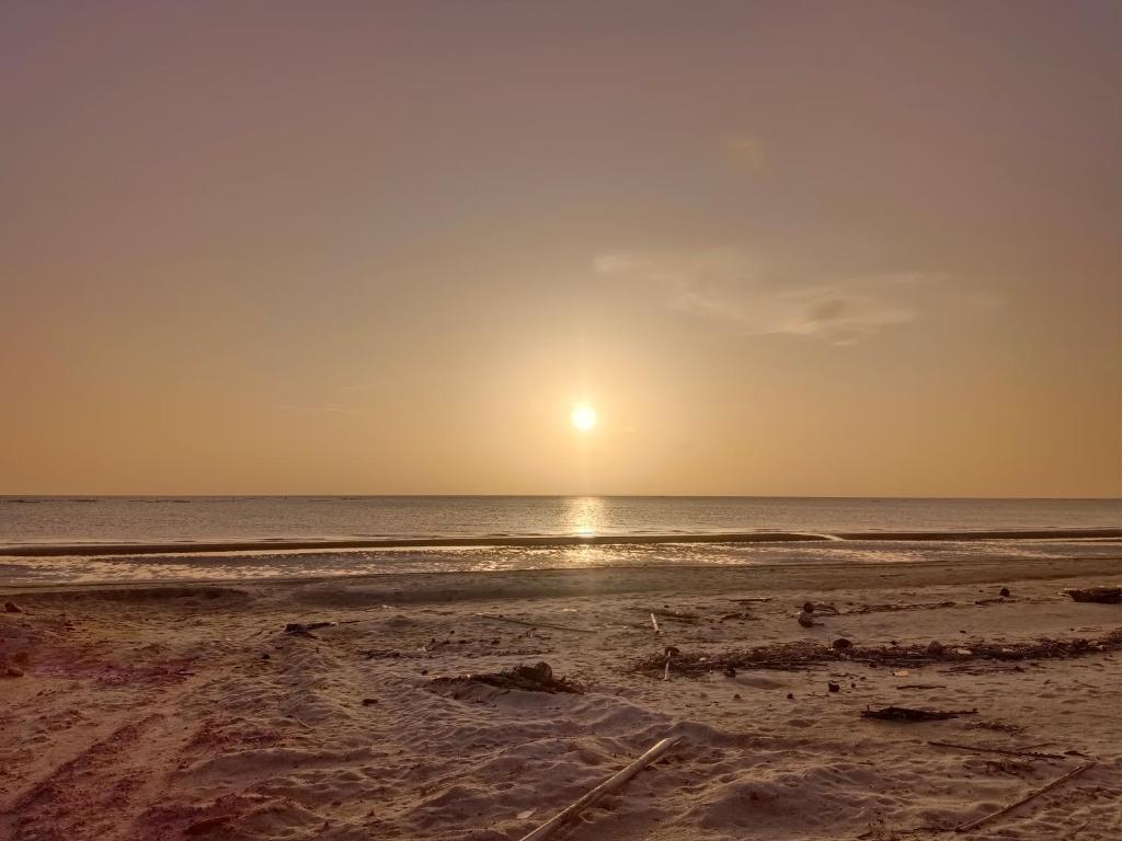 Ảnh 5