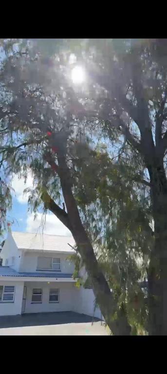 AAA tranquility, East London