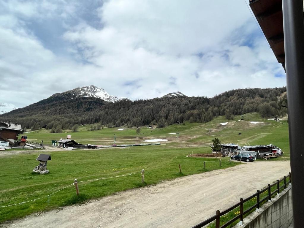 Fior d'Alpe Apartment - 4
