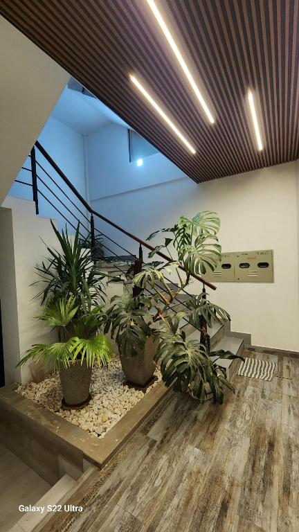 Un Lugar Tranquilo - 4