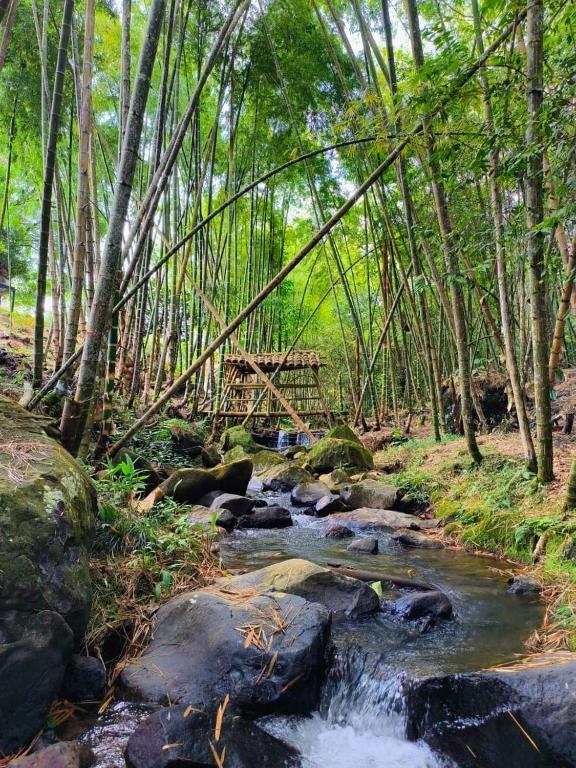 Habitación Natural Casalegre - 2