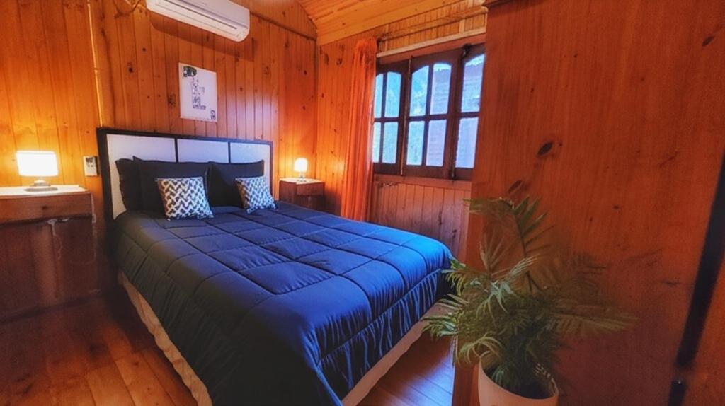 Cabañas Pulmahue - 5