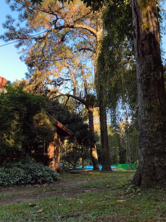 La Manquel - Casa y Yungas - 1