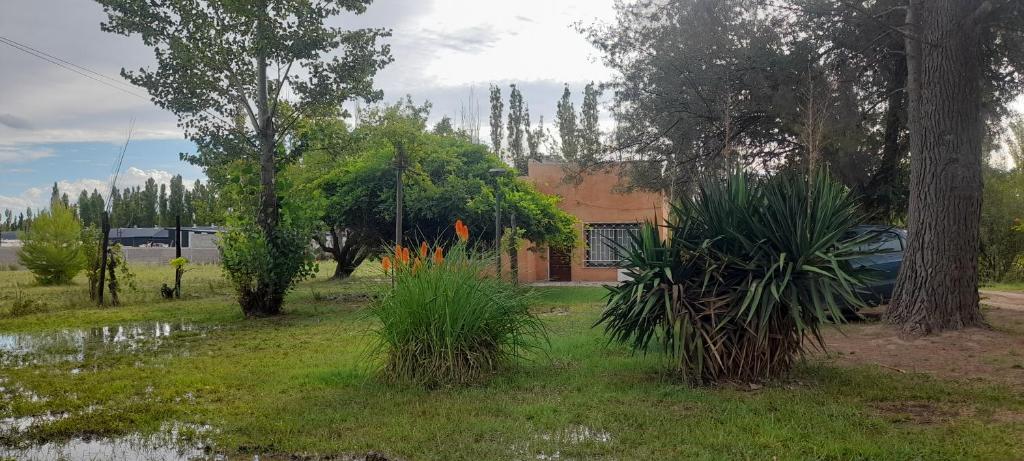 Casa de chacra - 2