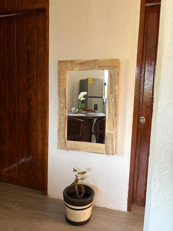 Casa Guaria Morada - 5