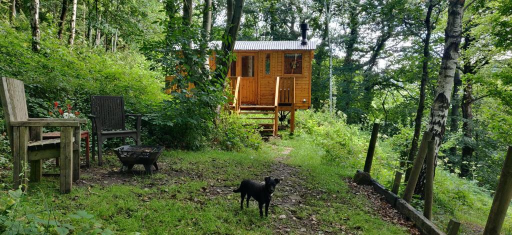 Peggy's Cabin in the Woods, Hebden Bridge