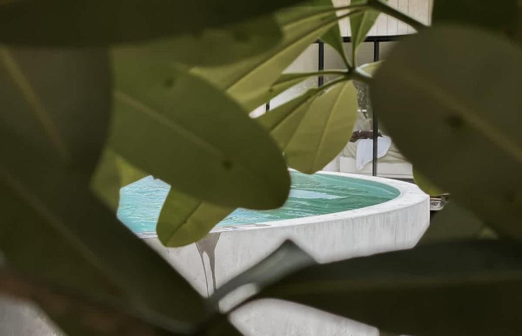 Little Lani - Modern Beach Shack, Mission Beach