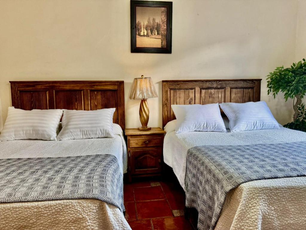 H san Carlo suite, Guanajuato