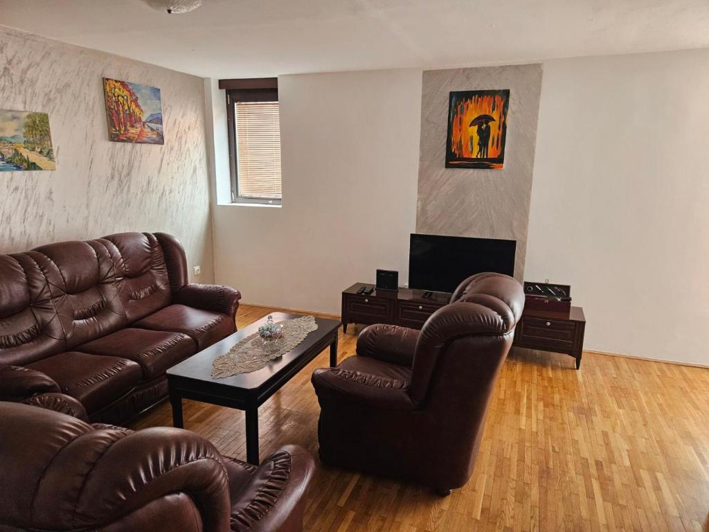 DSM & Victory, Plužine