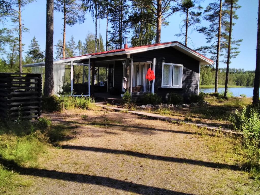 Mustajärvi, Konnevesi