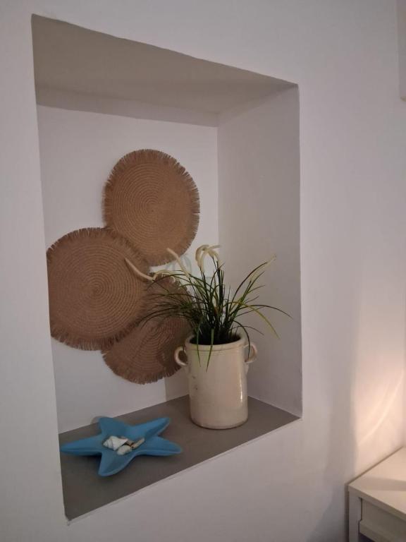 Il Pomo Bianco - 4