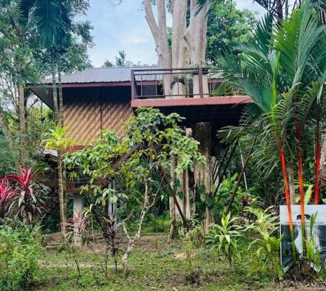 Surrounding environment