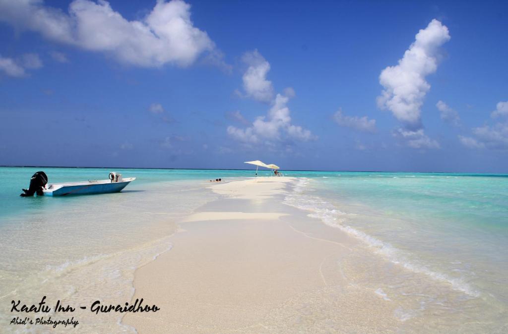 Surrounding environment