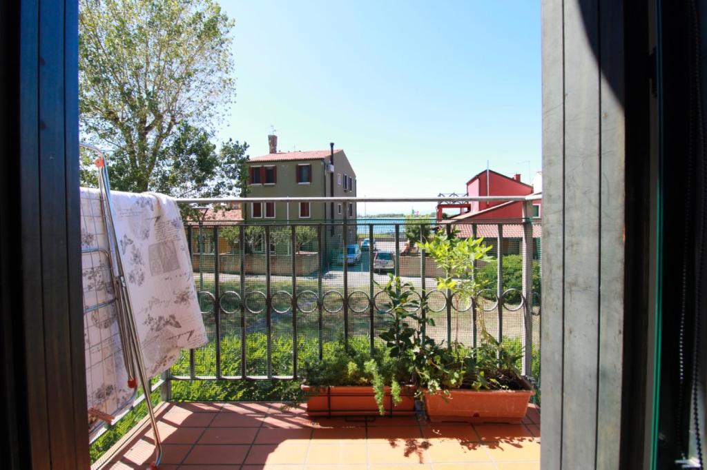 Cà Laguna - 3