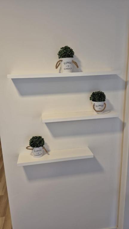 Mitre 553, Aparment - 2