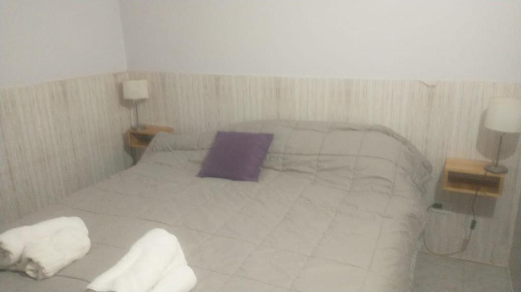 Pahiuen General Roca - 3