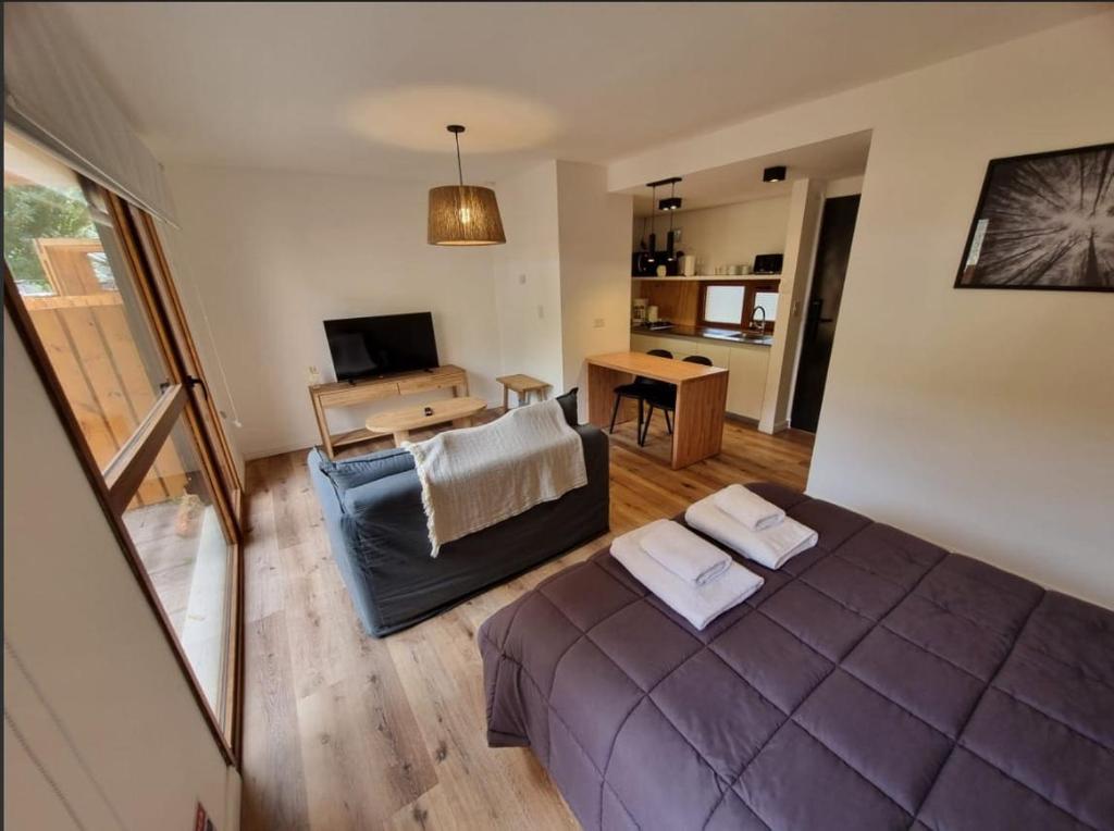 Luxury studio - 1