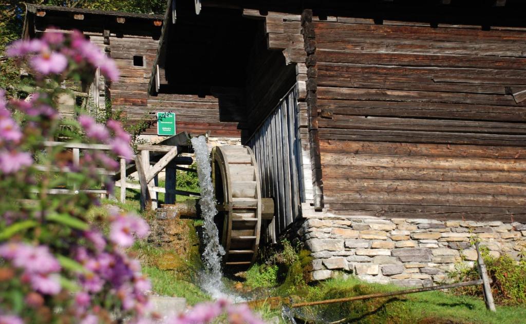 Bio-Bauernhof Einberghof - 4