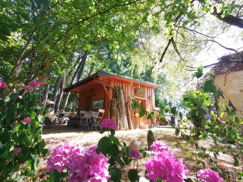 Cabane en forêt - 4