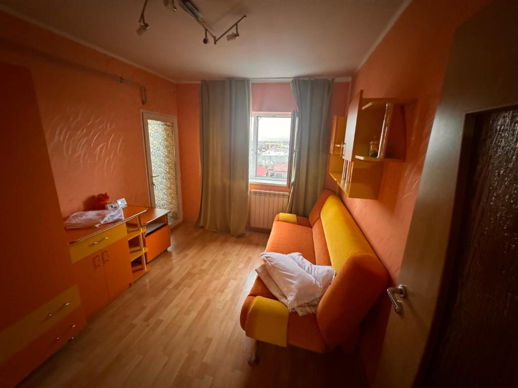 The nest, Caransebeş