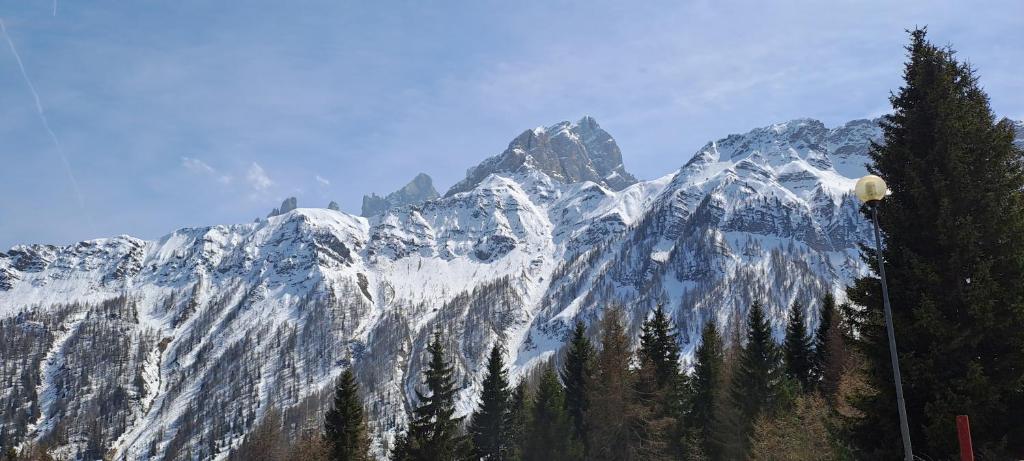 La Tana della Volpe, Falcade - BL - 3