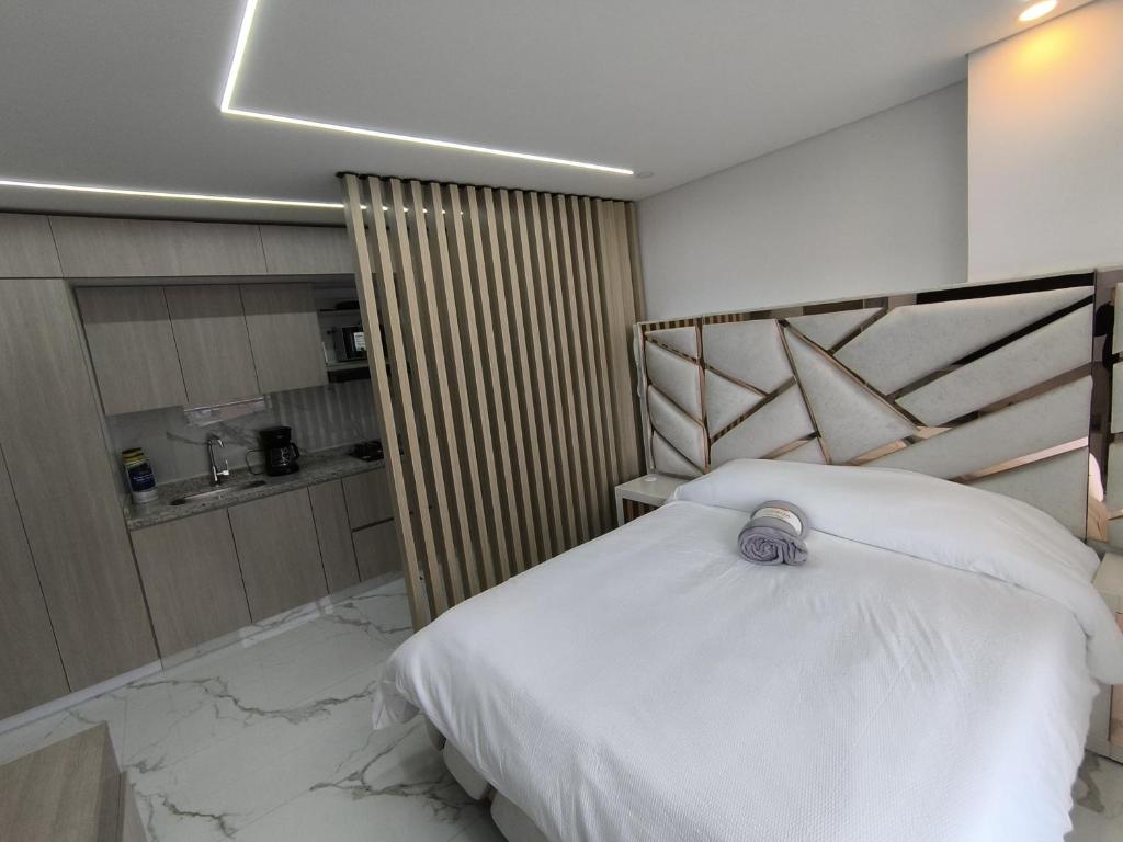 Apartaestudio amoblado, Edificio Asturiano - 702 - 2