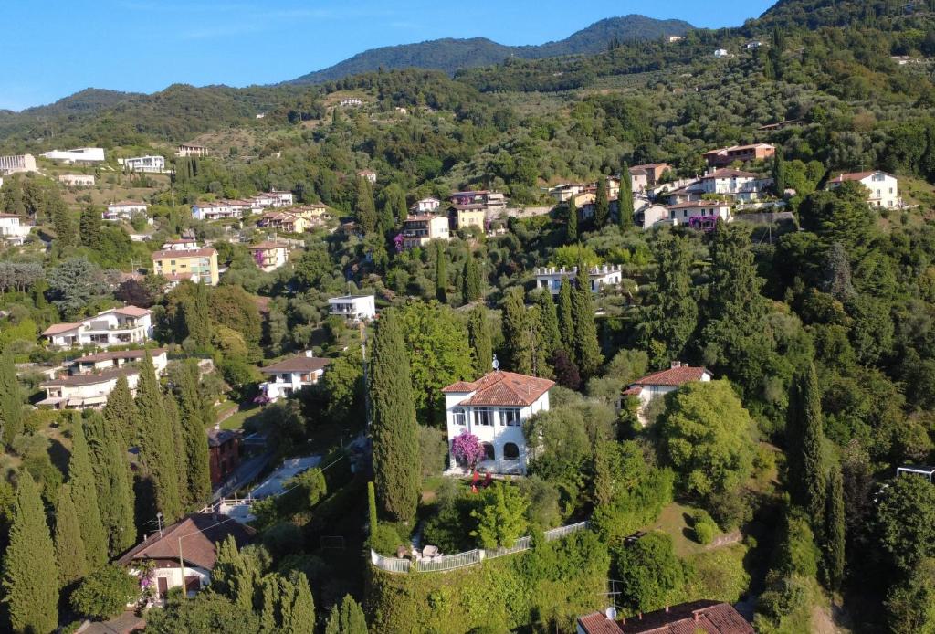 Villa Serendipità - 4