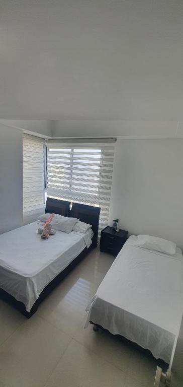Lodging Apto 37 Palmetto Eliptic - 5