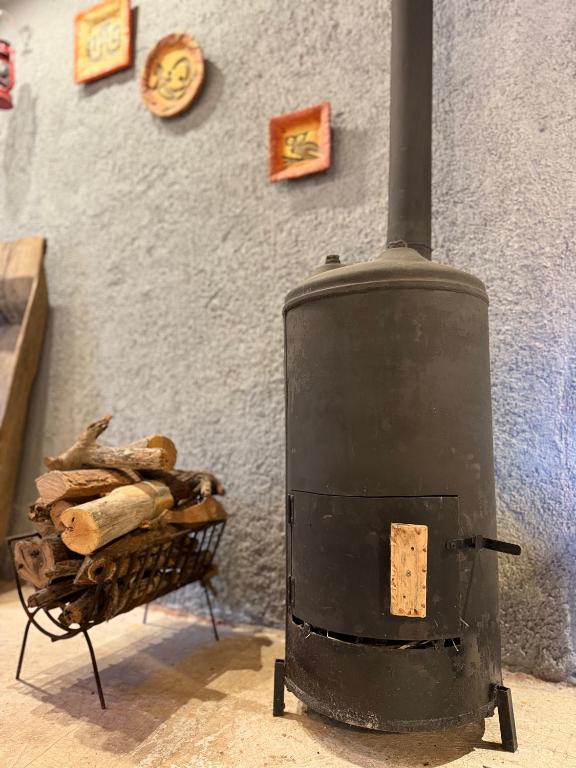 Nogal de Luz - 5